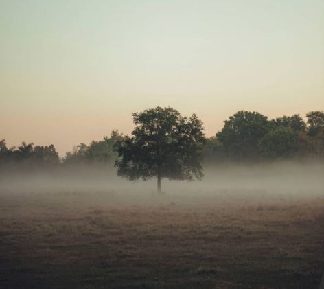 UK Family Tree Search – Crucial to Trace ...